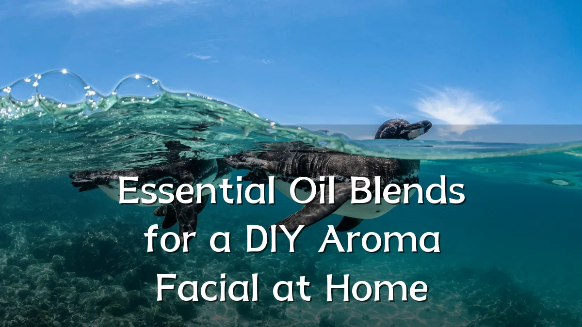 Essential Oil Blends for a DIY Aroma Facial at Home