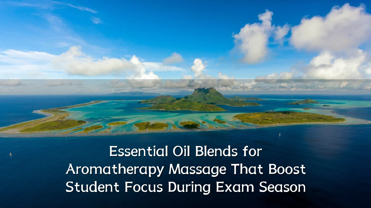 Essential Oil Blends for Aromatherapy Massage That Boost Student Focus During Exam Season