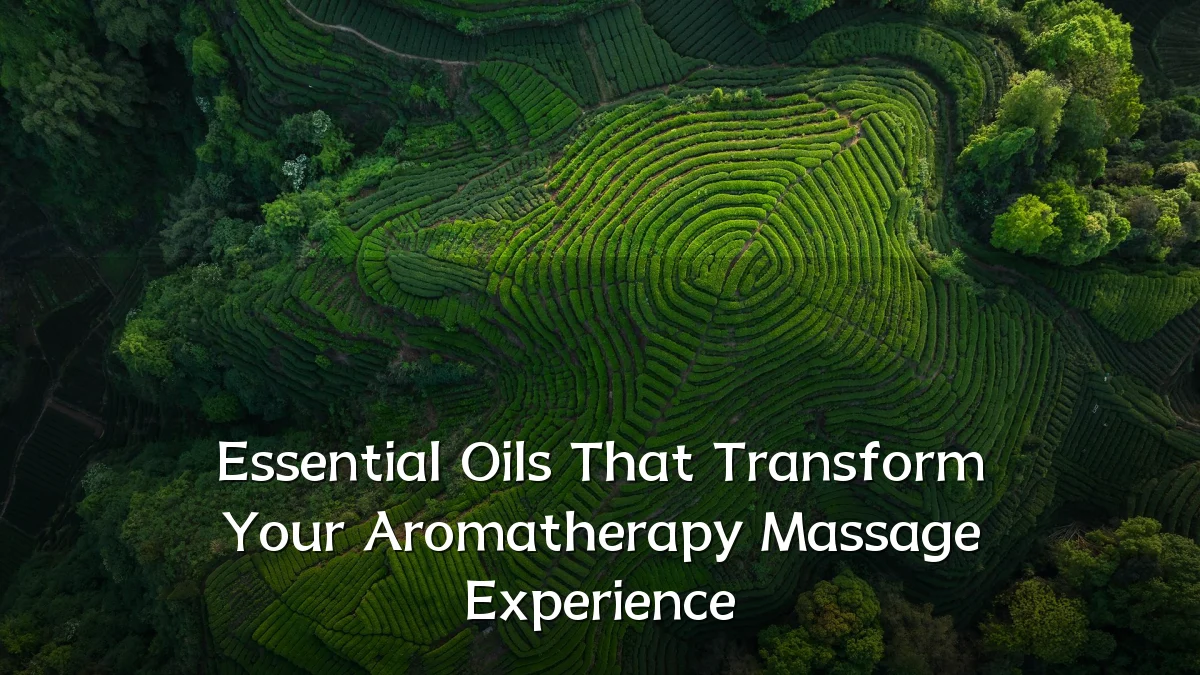Essential Oils That Transform Your Aromatherapy Massage Experience