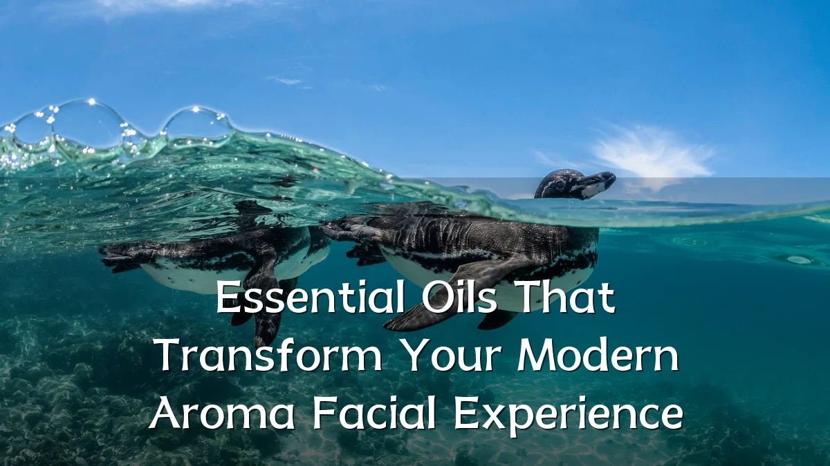 Essential Oils That Transform Your Modern Aroma Facial Experience
