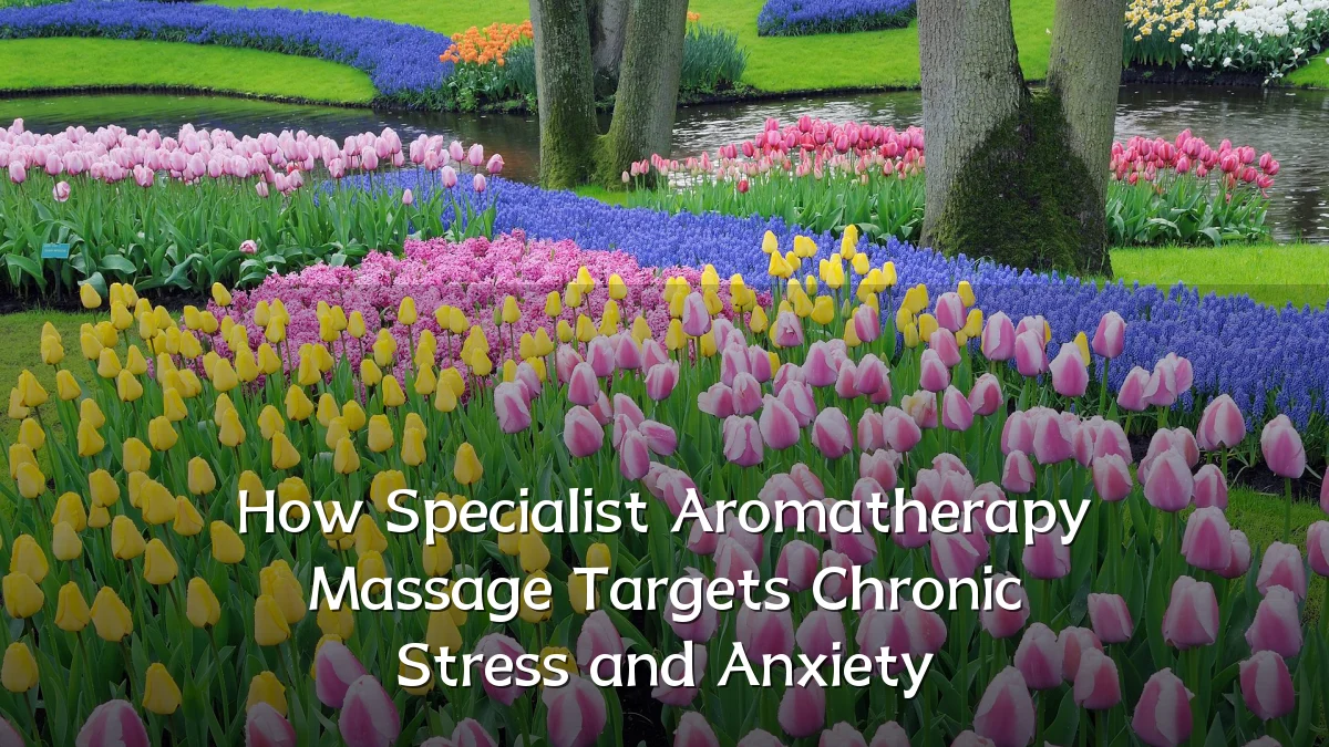 How Specialist Aromatherapy Massage Targets Chronic Stress and Anxiety
