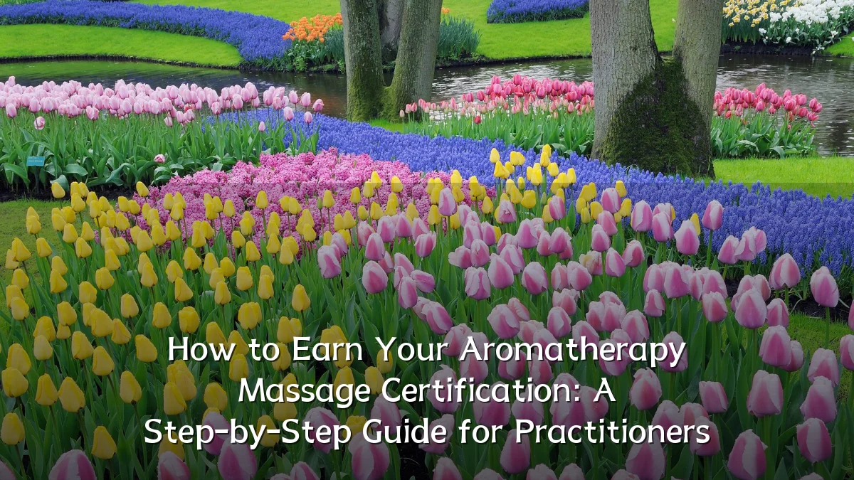How to Earn Your Aromatherapy Massage Certification: A Step-by-Step Guide for Practitioners