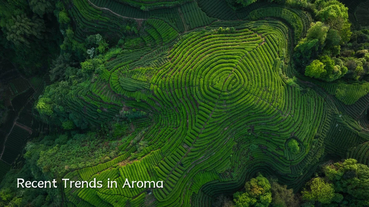 Recent Trends in Aroma