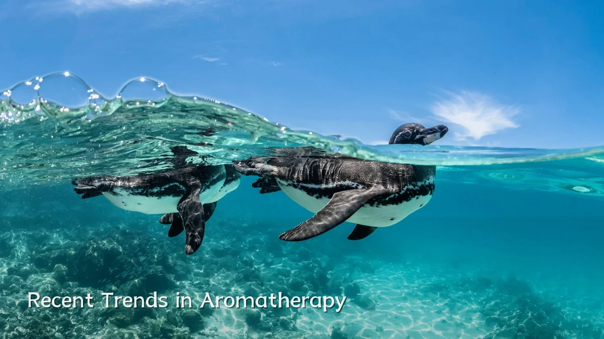 Recent Trends in Aromatherapy