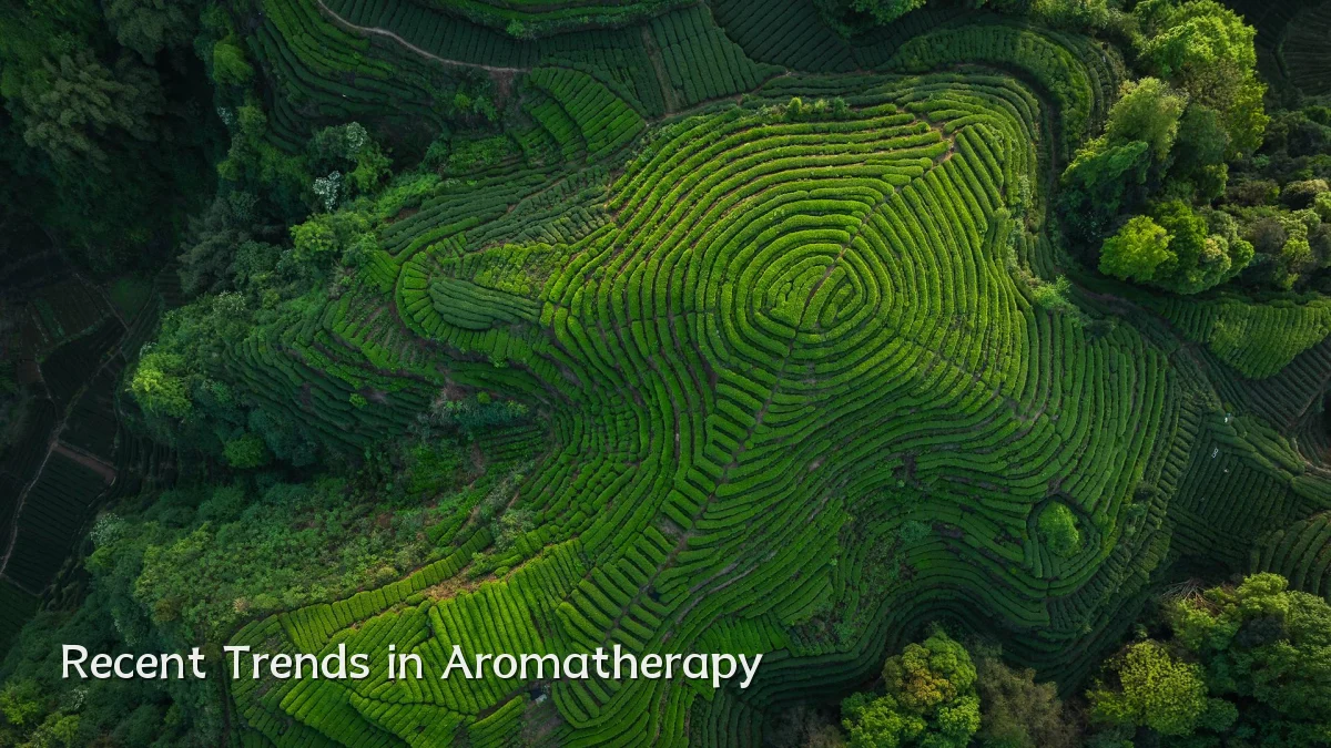 Recent Trends in Aromatherapy