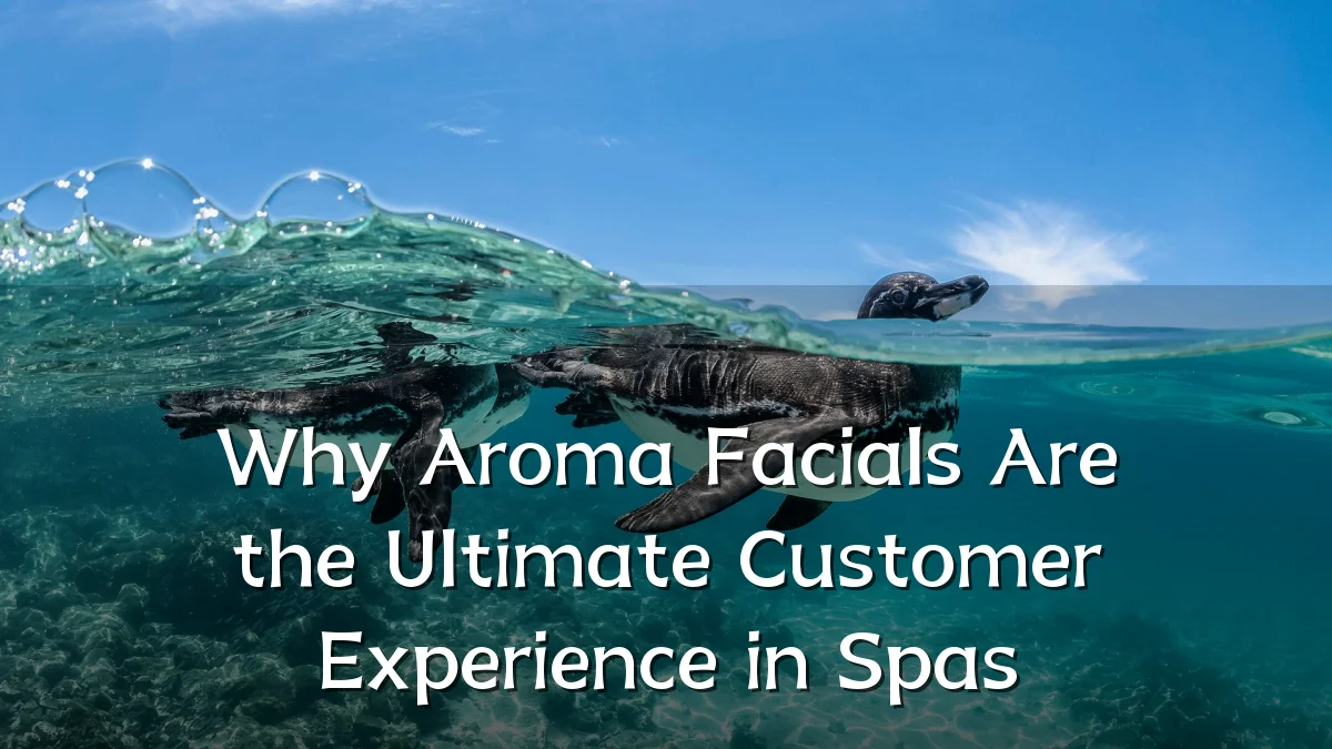 Why Aroma Facials Are the Ultimate Customer Experience in Spas