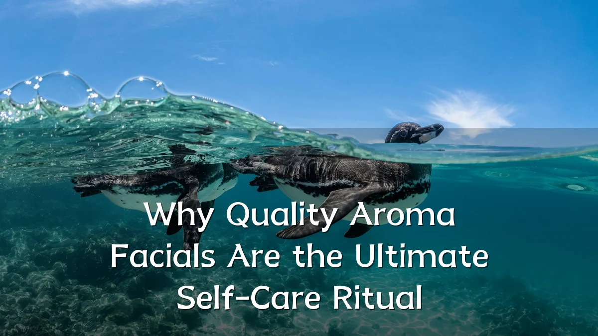 Why Quality Aroma Facials Are the Ultimate Self-Care Ritual