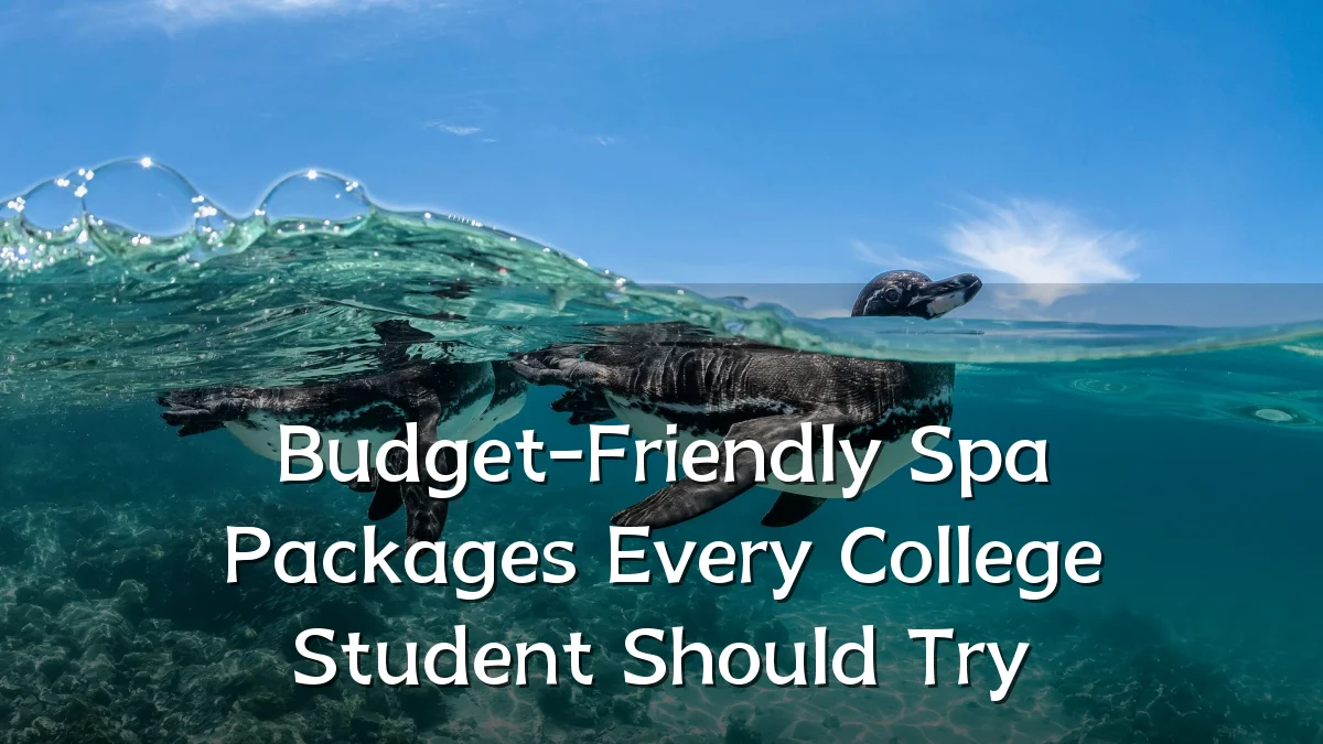 Budget-Friendly Spa Packages Every College Student Should Try