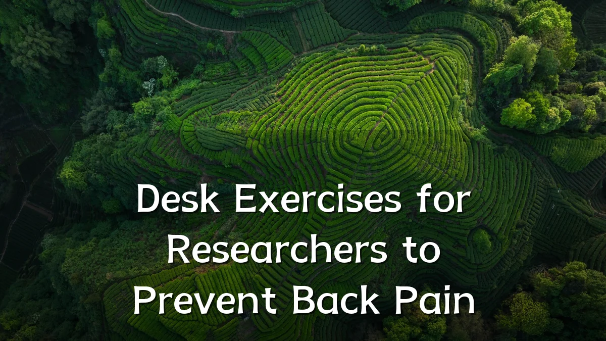 Desk Exercises for Researchers to Prevent Back Pain