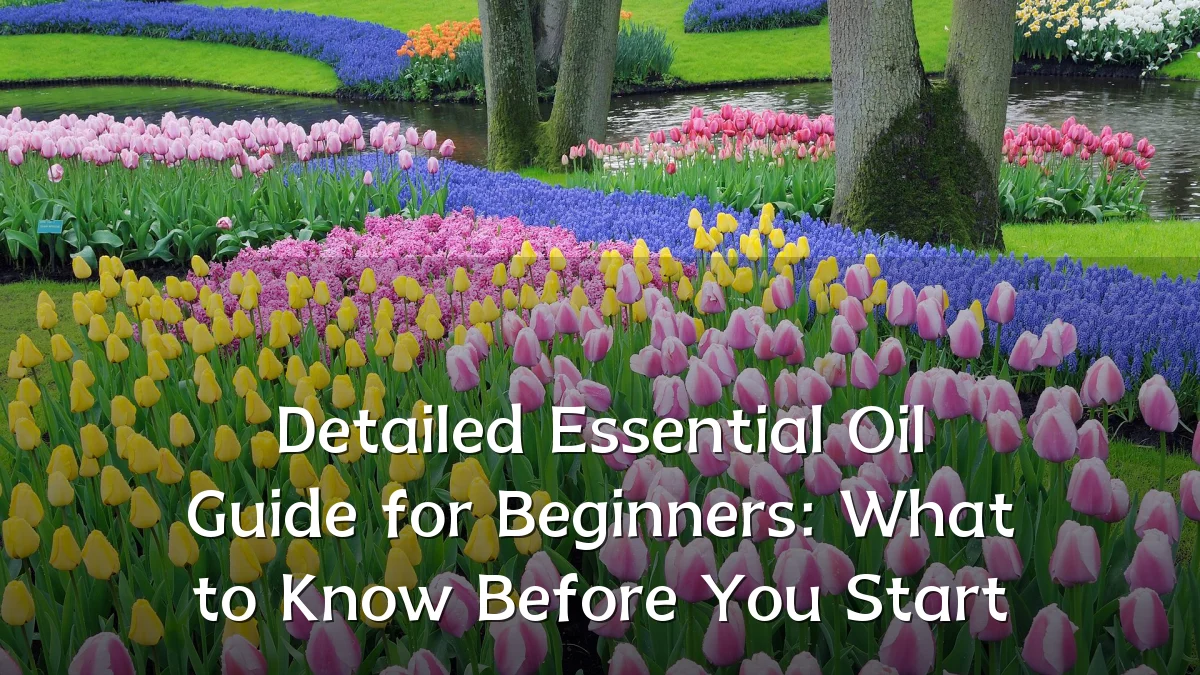 Detailed Essential Oil Guide for Beginners: What to Know Before You Start