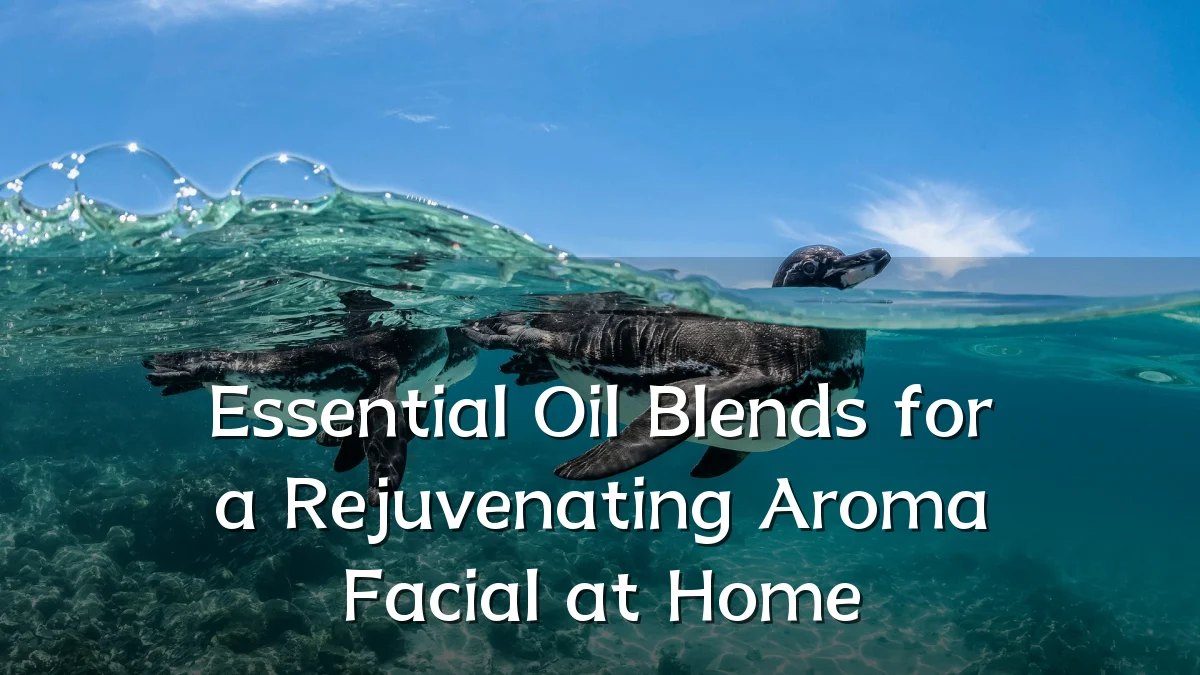 Essential Oil Blends for a Rejuvenating Aroma Facial at Home