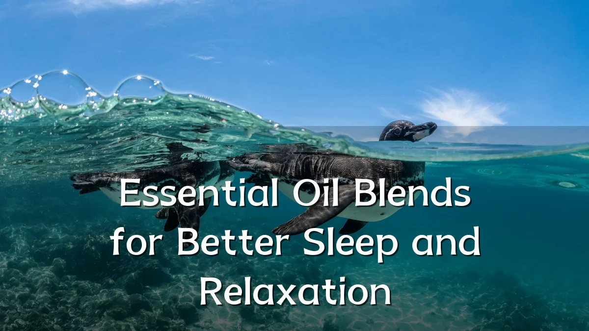 Essential Oil Blends for Better Sleep and Relaxation