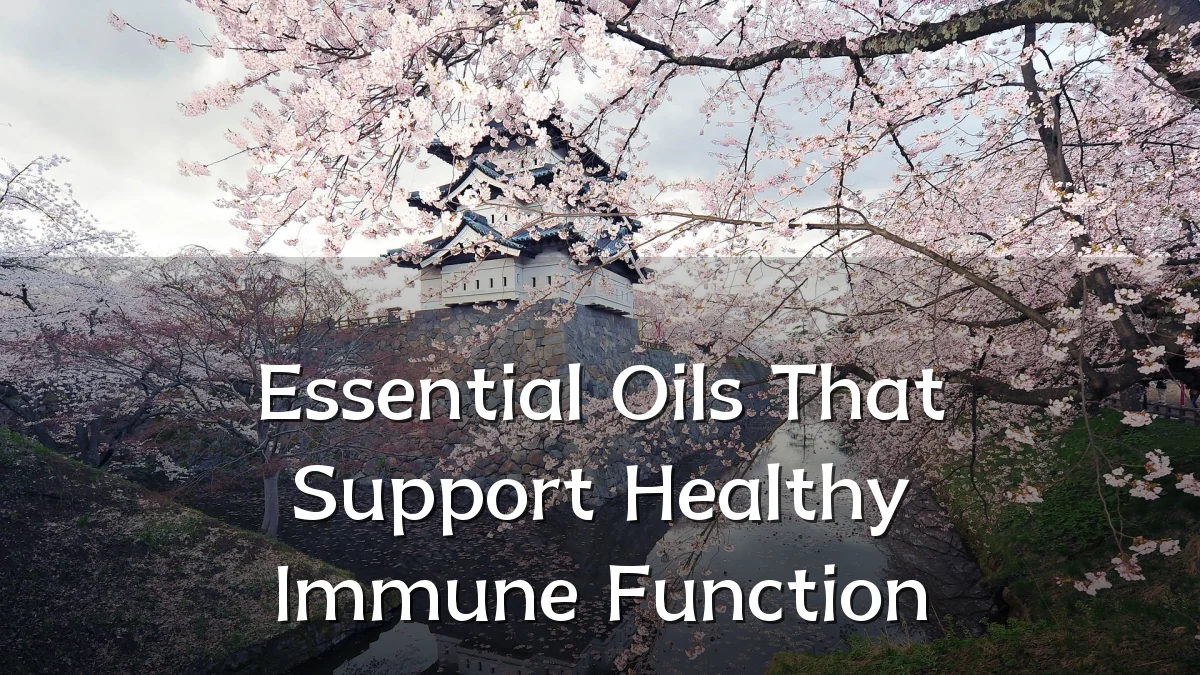 Essential Oils That Support Healthy Immune Function