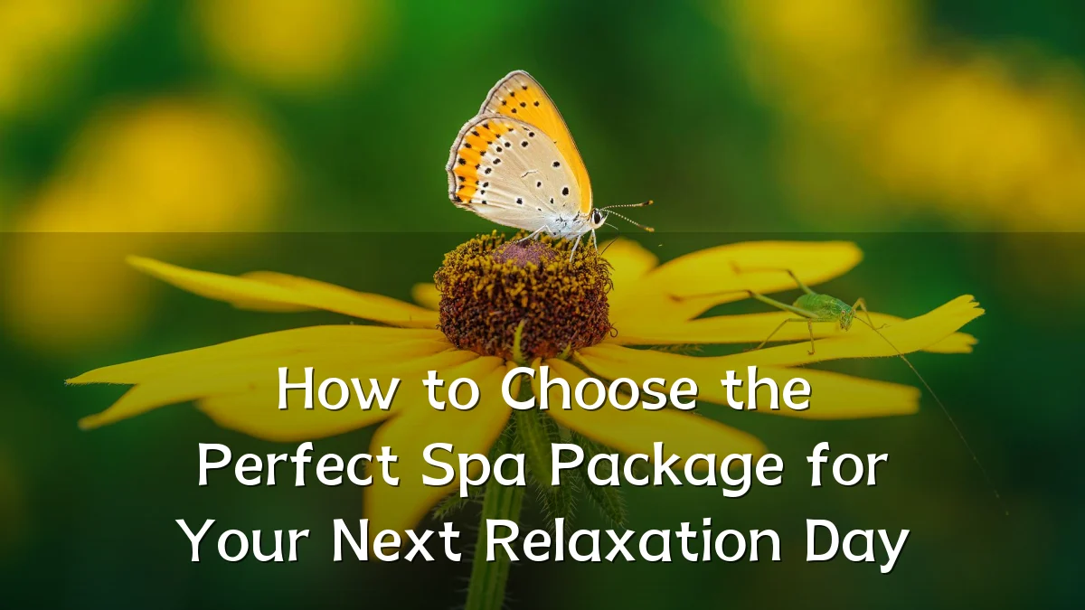 How to Choose the Perfect Spa Package for Your Next Relaxation Day