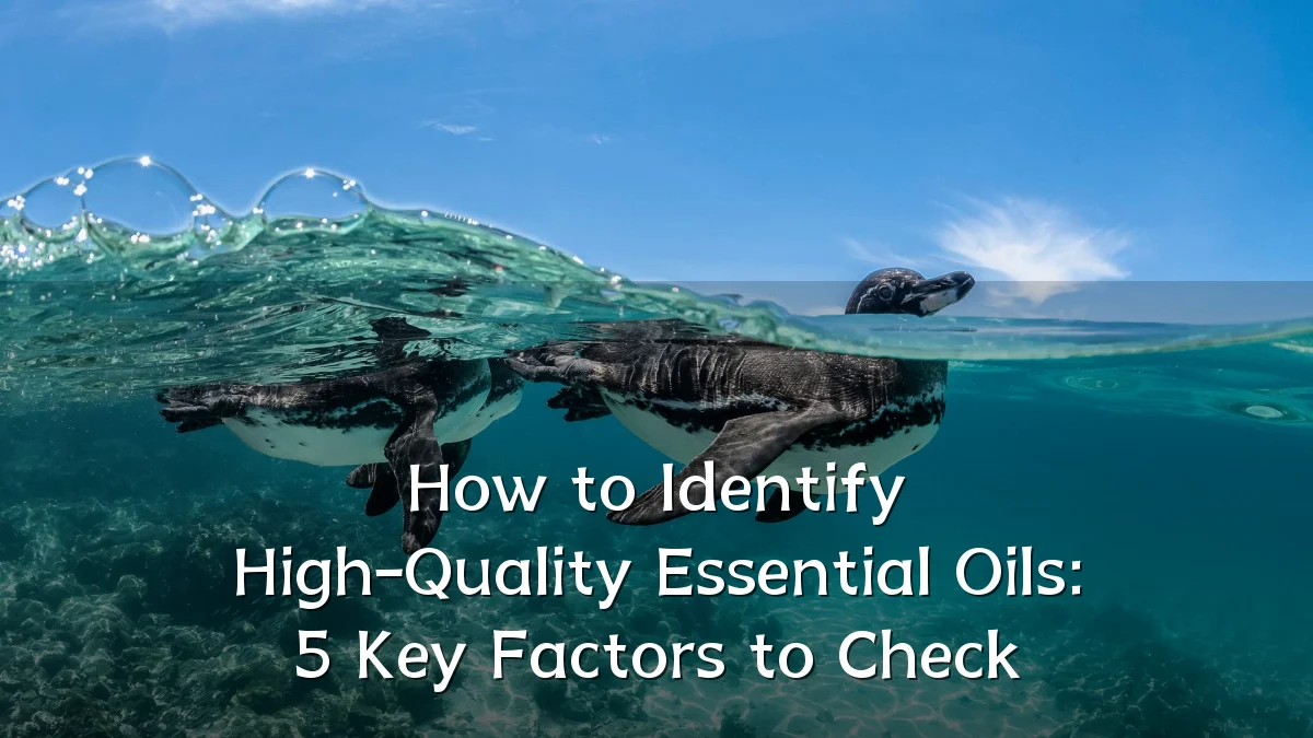 How to Identify High-Quality Essential Oils: 5 Key Factors to Check