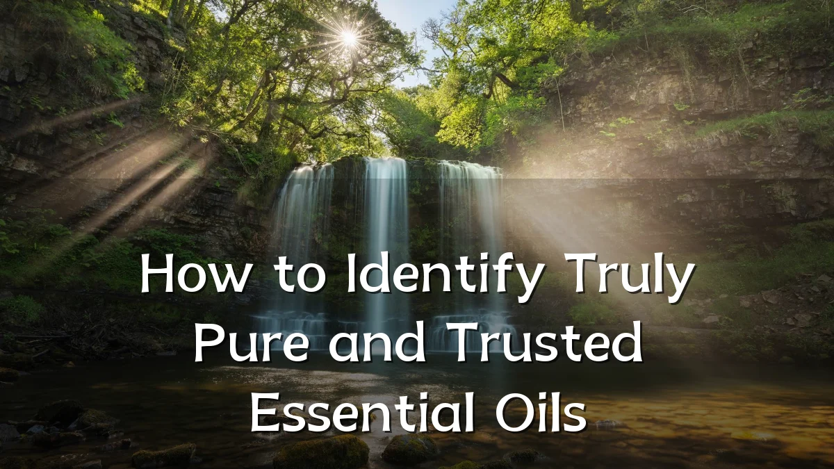 How to Identify Truly Pure and Trusted Essential Oils
