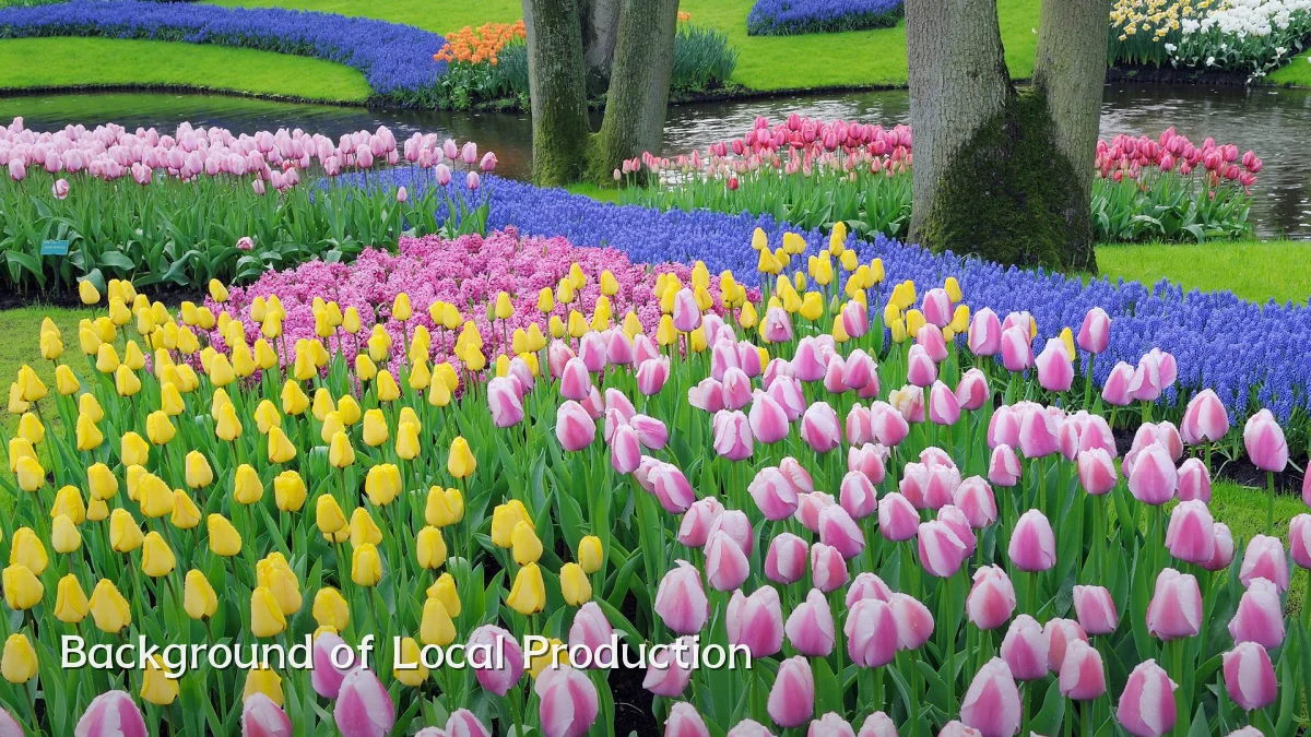 Background of Local Production