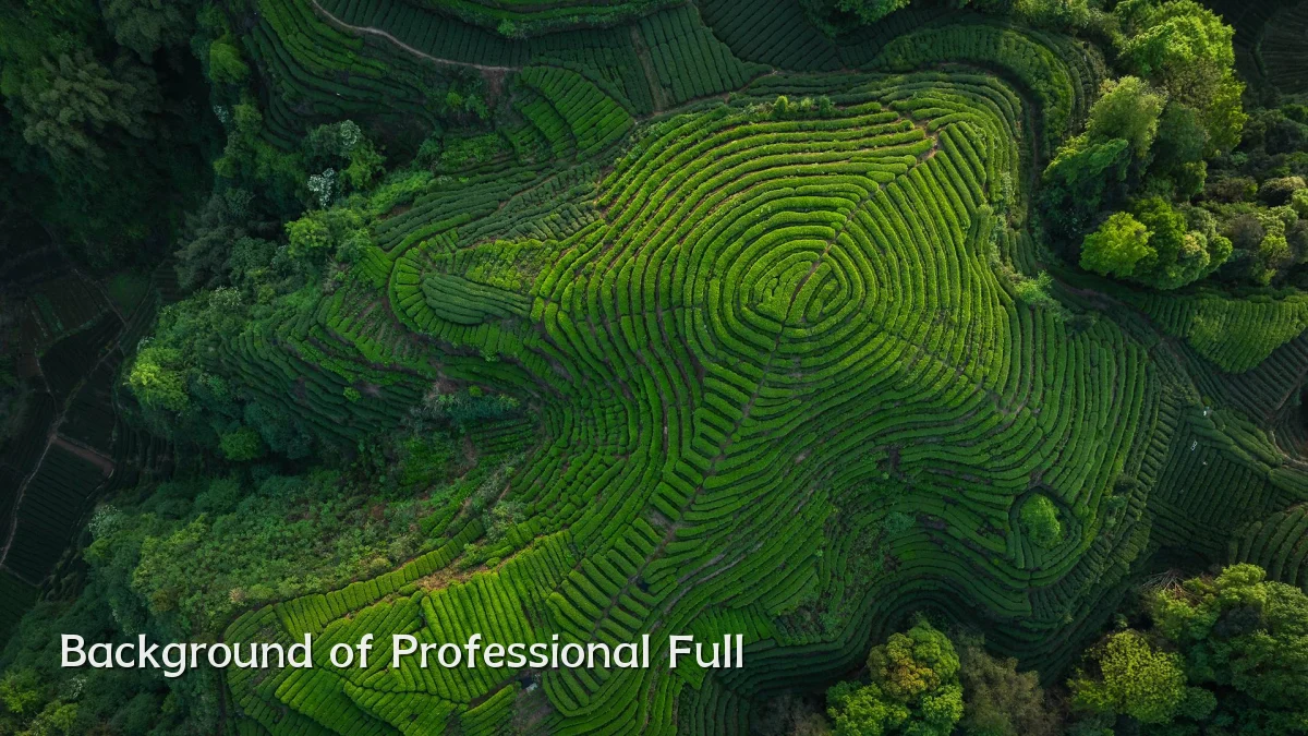Background of Professional Full