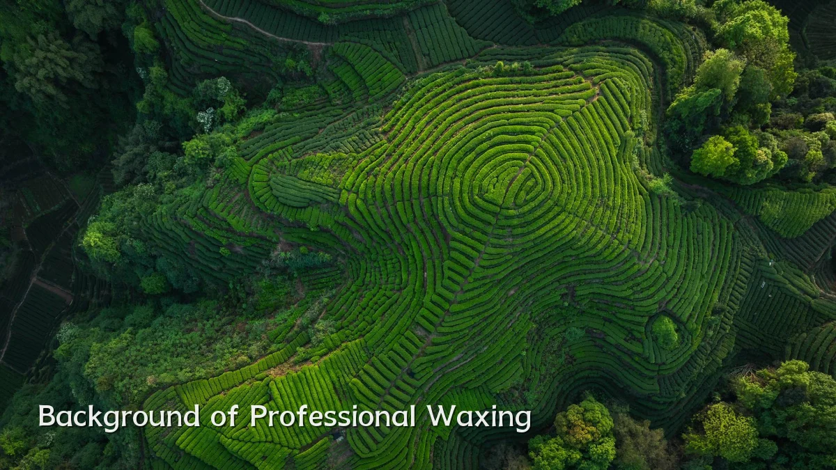 Background of Professional Waxing