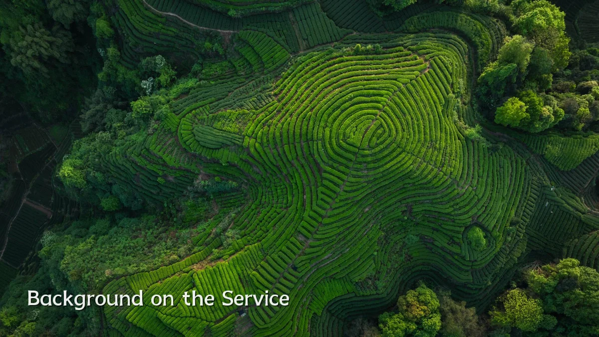 Background on the Service