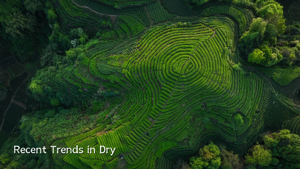 Recent Trends in Dry