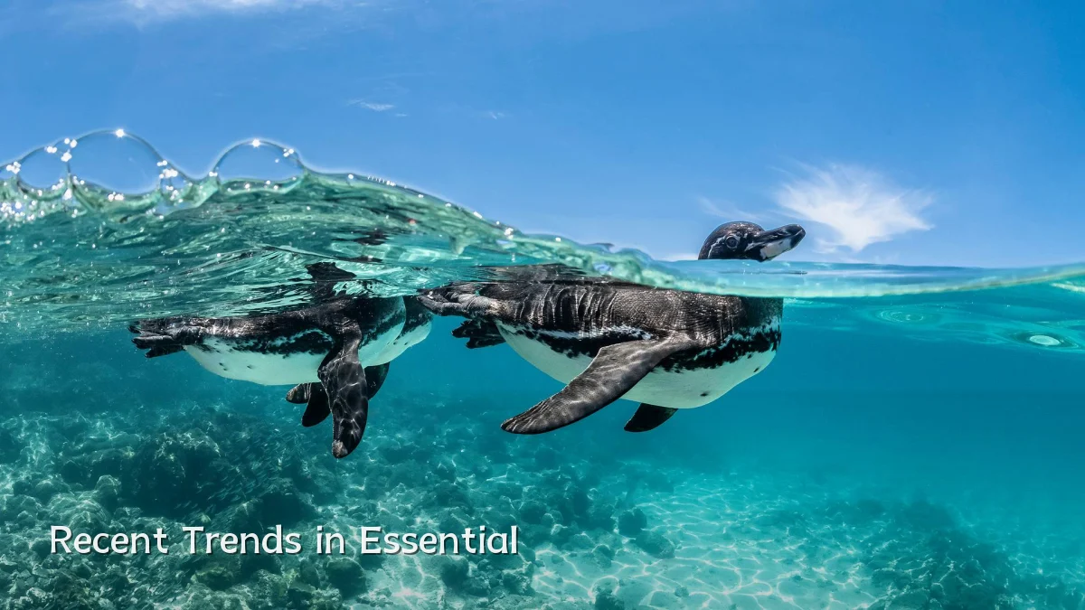 Recent Trends in Essential