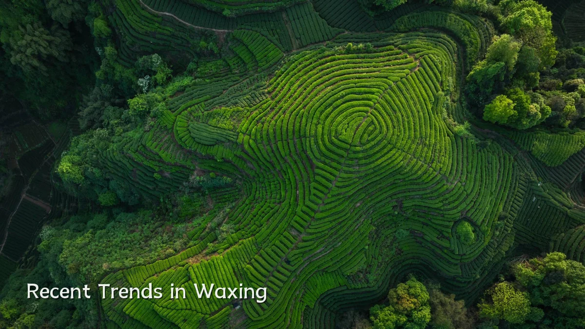 Recent Trends in Waxing