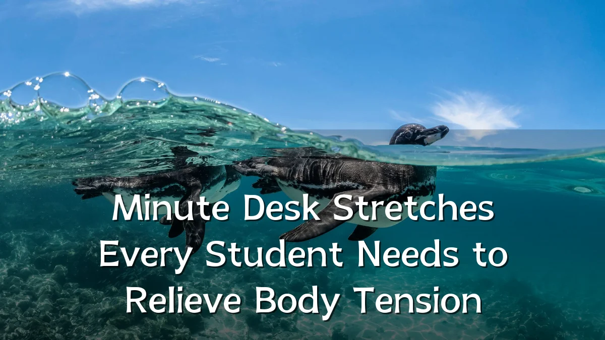 Minute Desk Stretches Every Student Needs to Relieve Body Tension