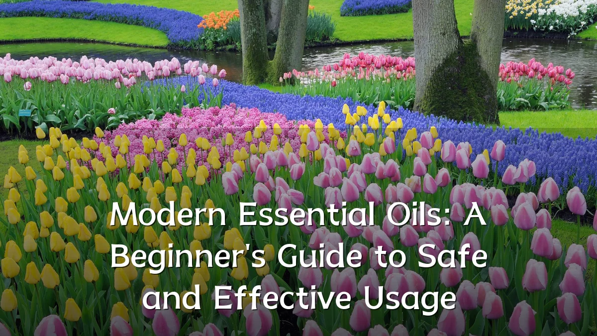 Modern Essential Oils: A Beginner's Guide to Safe and Effective Usage