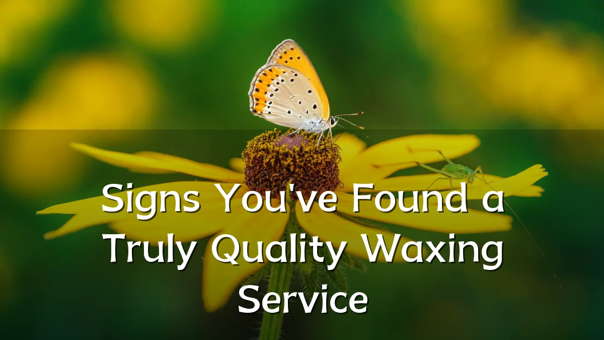 Signs You've Found a Truly Quality Waxing Service