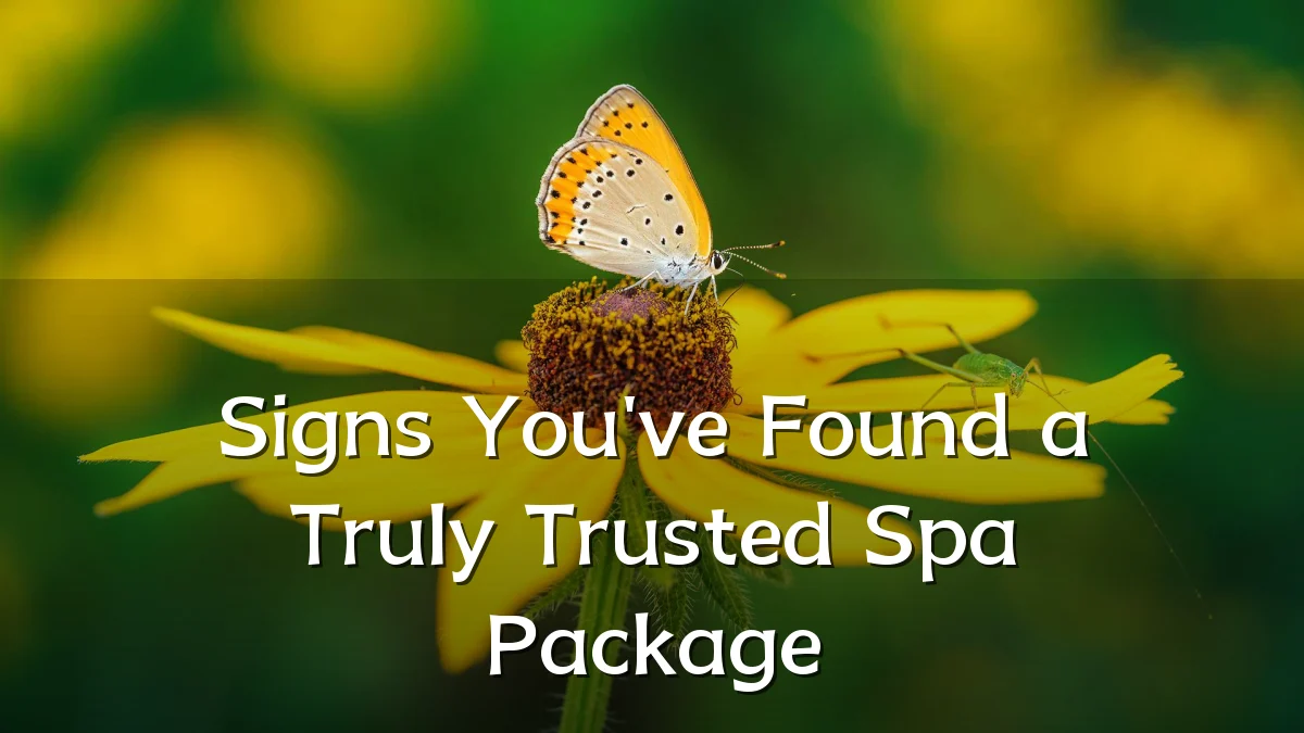 Signs You've Found a Truly Trusted Spa Package