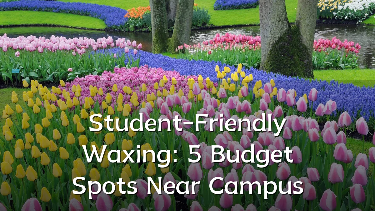 Student-Friendly Waxing: 5 Budget Spots Near Campus