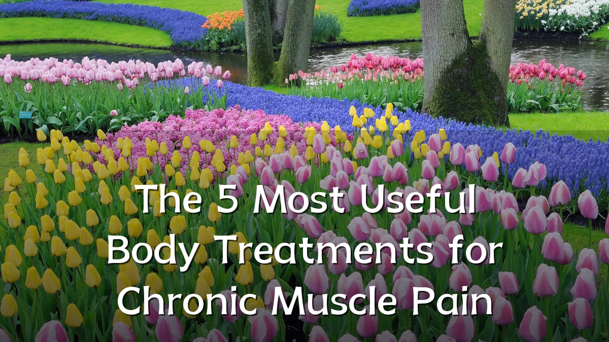 The 5 Most Useful Body Treatments for Chronic Muscle Pain