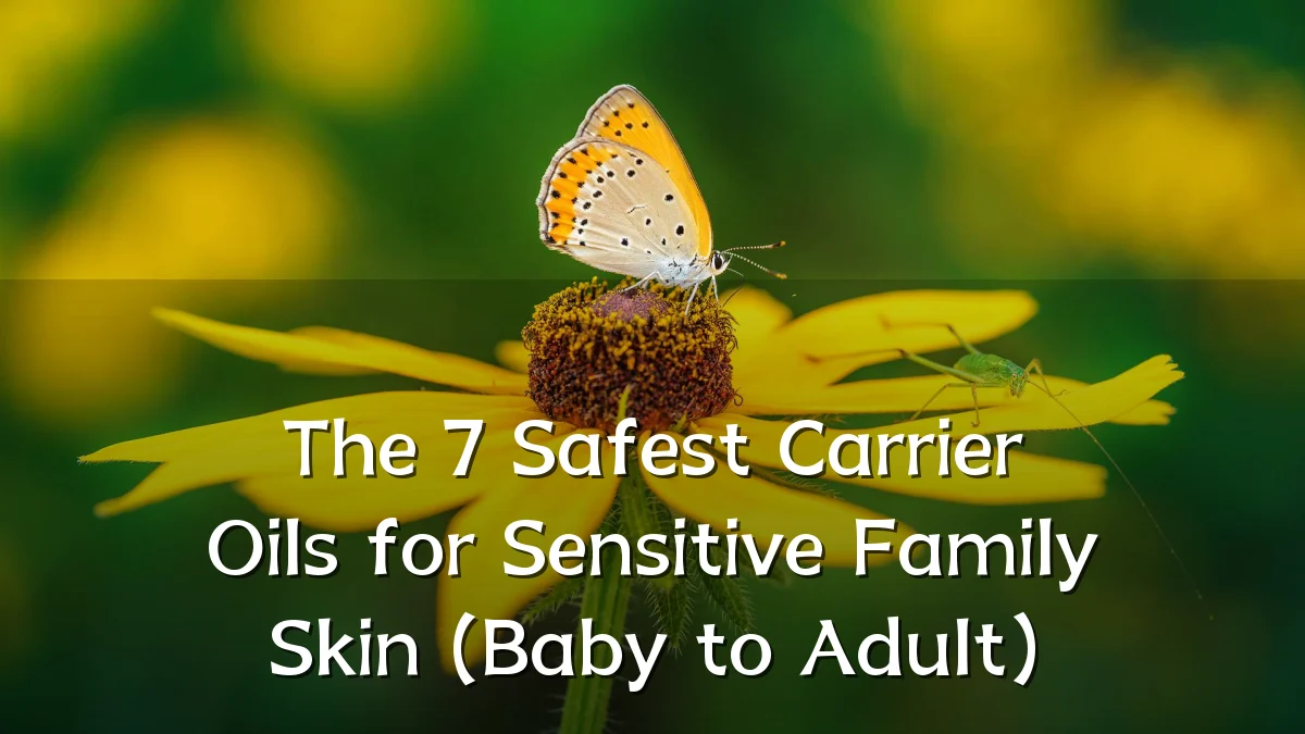 The 7 Safest Carrier Oils for Sensitive Family Skin (Baby to Adult)