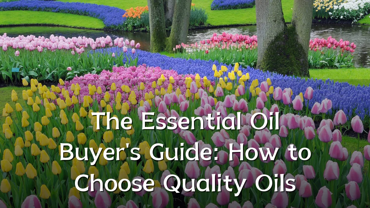 The Essential Oil Buyer's Guide: How to Choose Quality Oils