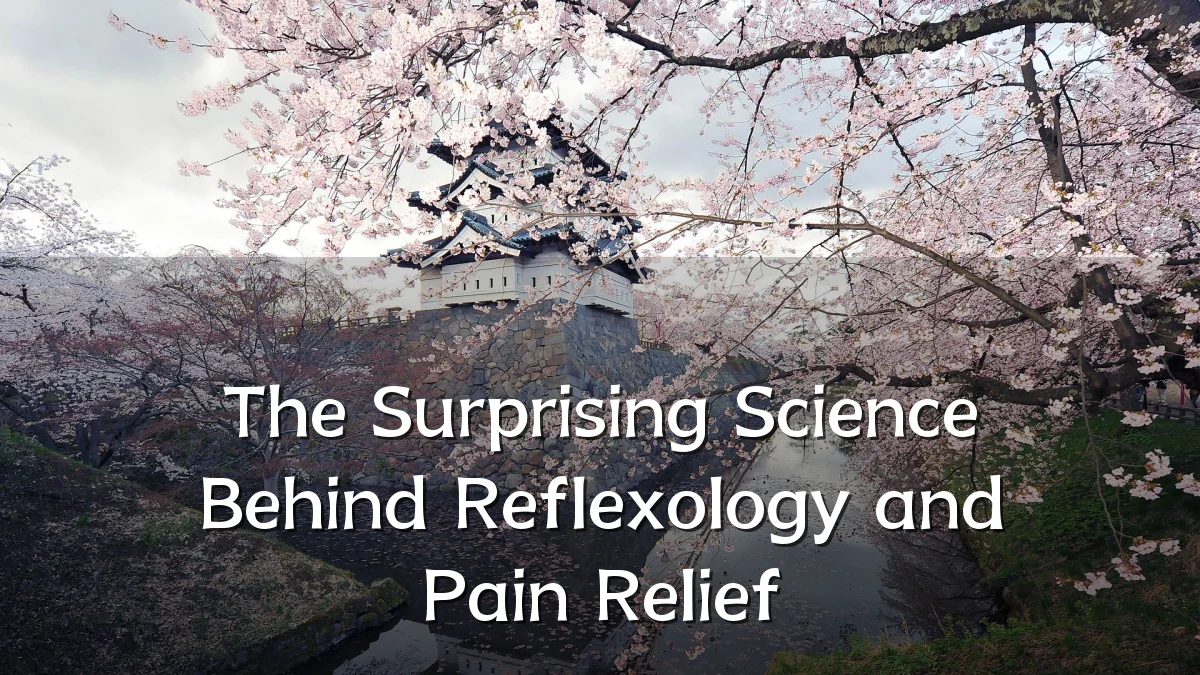 The Surprising Science Behind Reflexology and Pain Relief