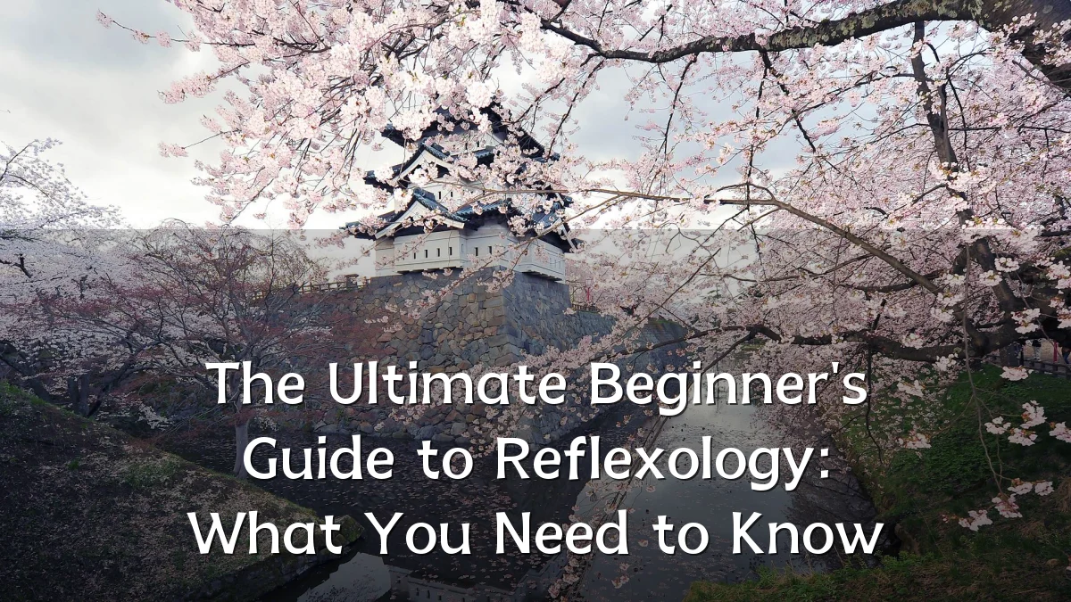 The Ultimate Beginner's Guide to Reflexology: What You Need to Know