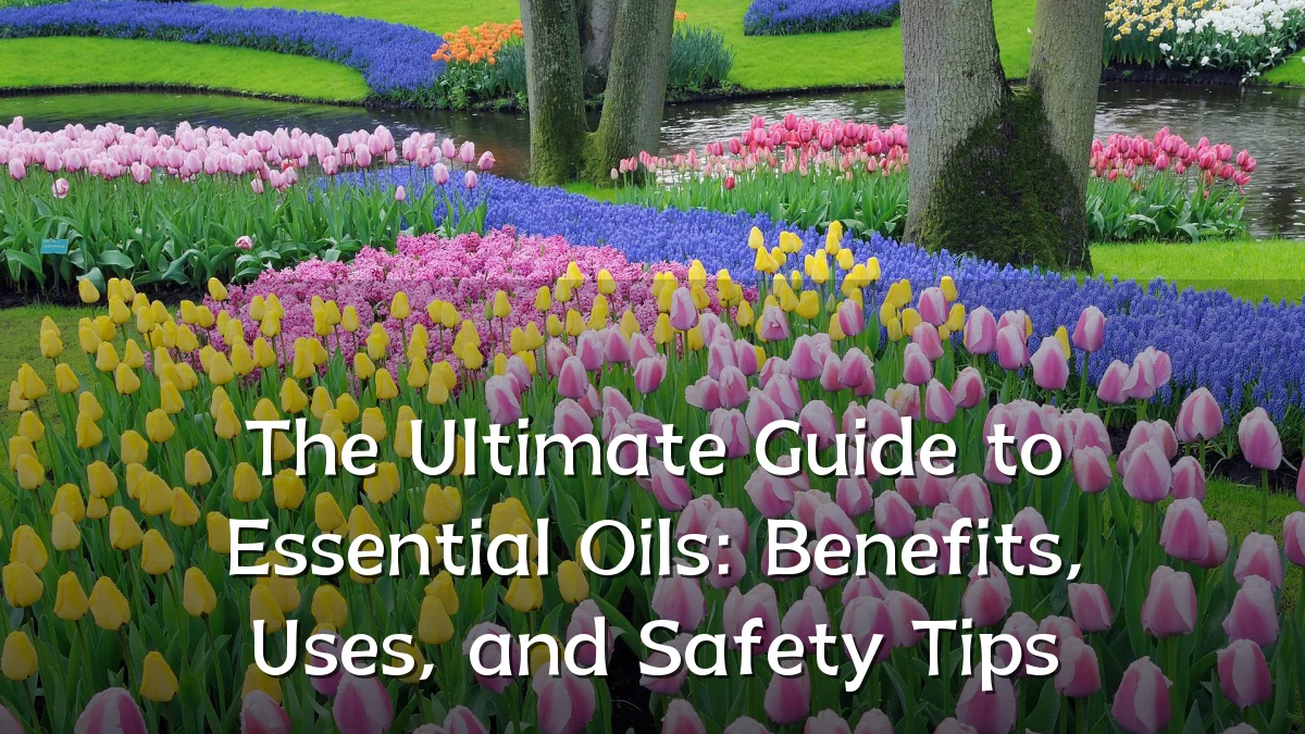 The Ultimate Guide to Essential Oils: Benefits, Uses, and Safety Tips