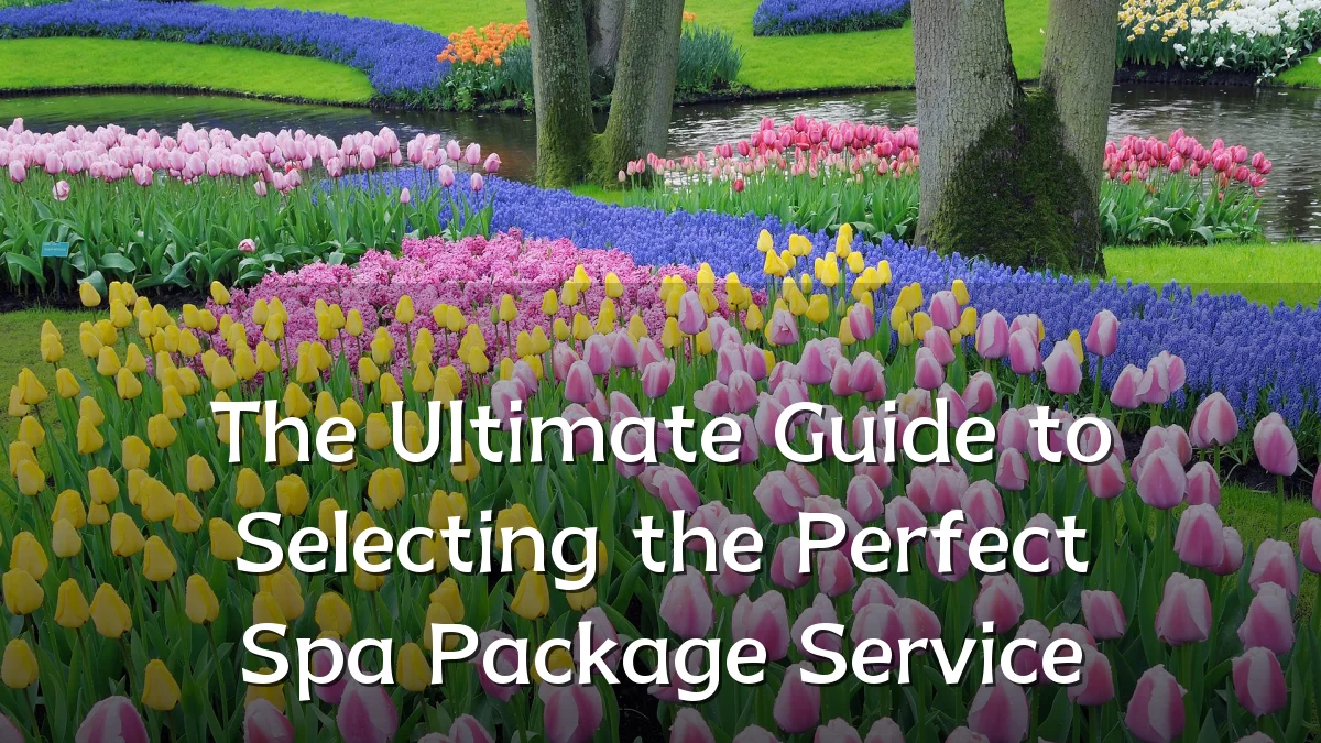 The Ultimate Guide to Selecting the Perfect Spa Package Service
