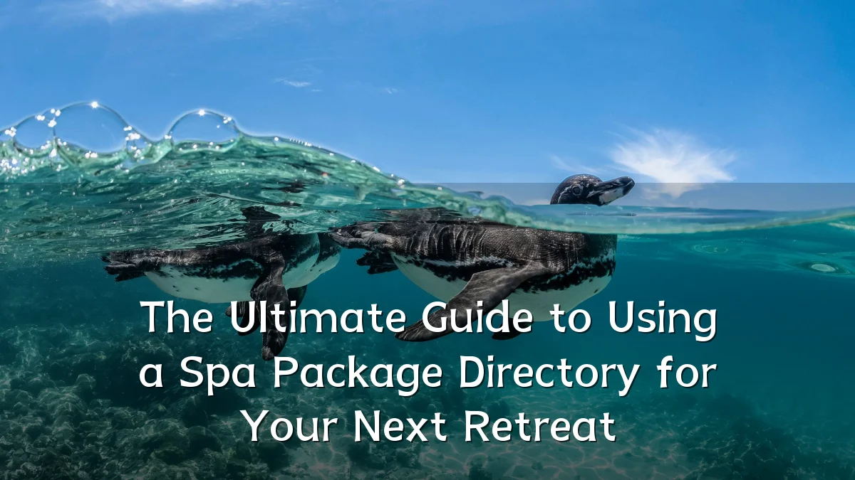 The Ultimate Guide to Using a Spa Package Directory for Your Next Retreat