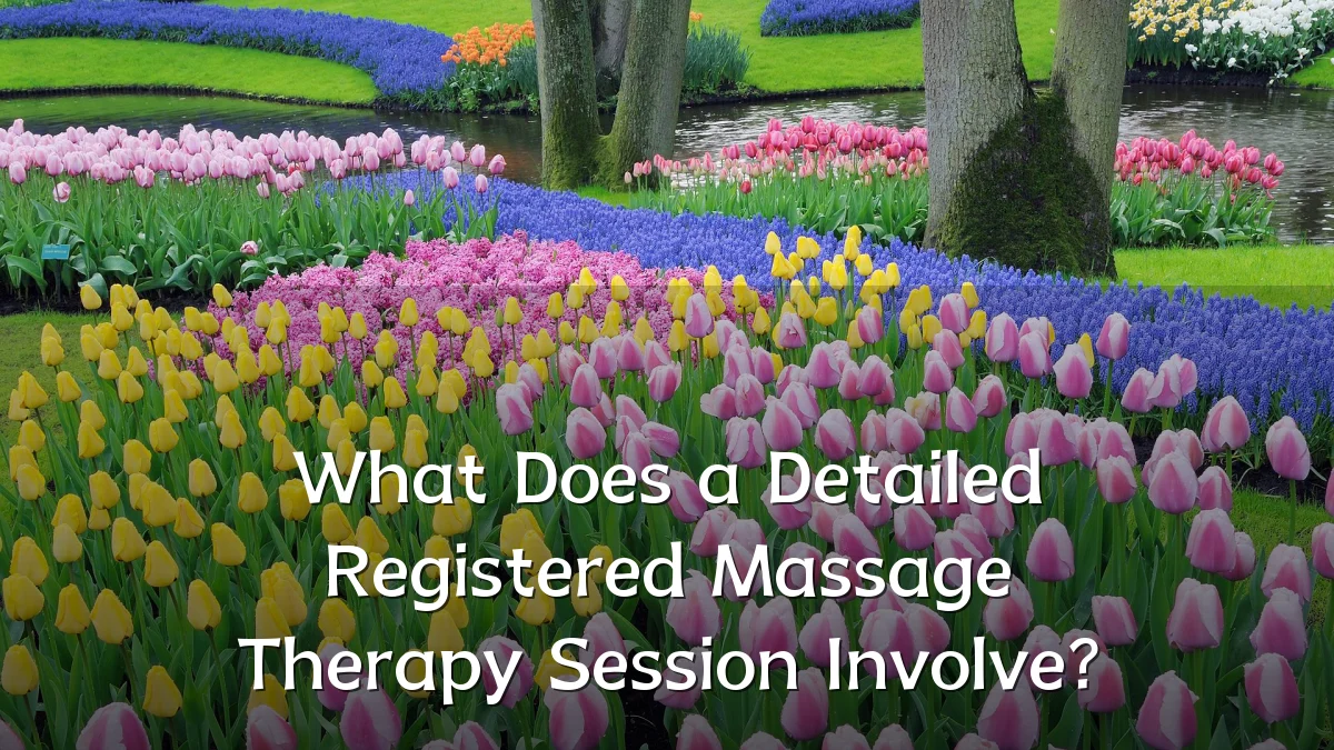 What Does a Detailed Registered Massage Therapy Session Involve?