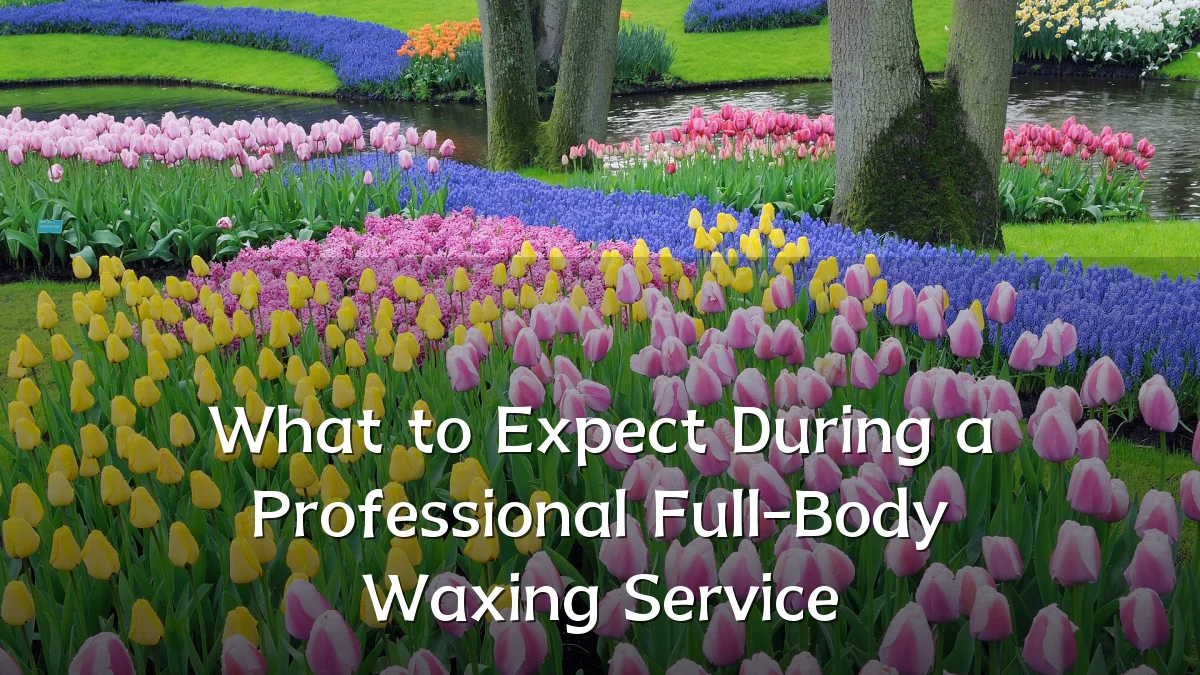 What to Expect During a Professional Full-Body Waxing Service