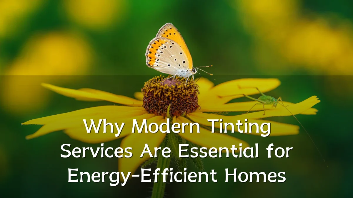 Why Modern Tinting Services Are Essential for Energy-Efficient Homes