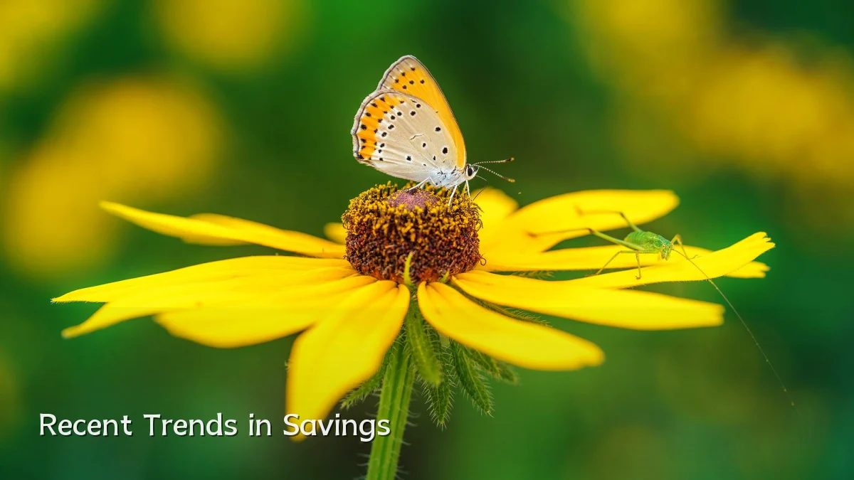 Recent Trends in Savings